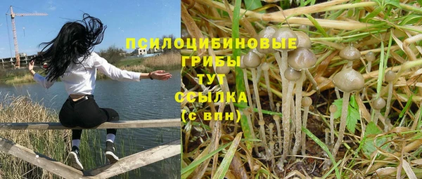 эйфоретик Медногорск