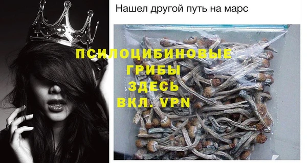 эйфоретик Медногорск