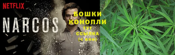 эйфоретик Медногорск