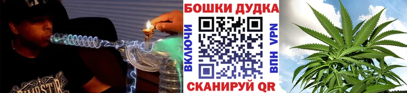 Бошки Шишки планчик Купить где Иланский